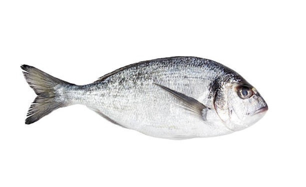 Fresh Dorado(kg)